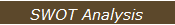 SWOT