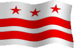 Washington, DC Flag