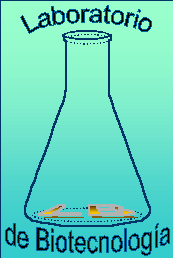 animLB.gif (66230 bytes)