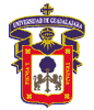 logo_udg.gif (2069 bytes)