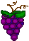 grapes