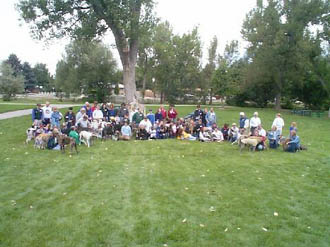 OUR FIRST GREYHOUND REUNION