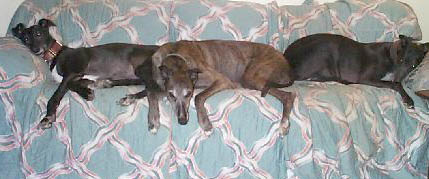 A FULL COUCH