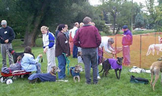 GREYHOUND GAMES