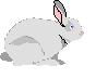 clovek2.jpg(1 kb)