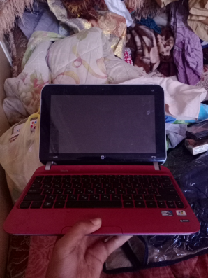 HP Mini Netbook