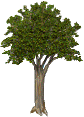 Go to family tree pages