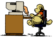 computer.gif (8275 bytes)