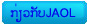 about JAOL