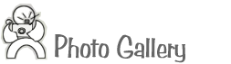 {short description of image}