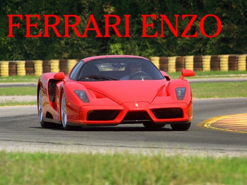 enzo