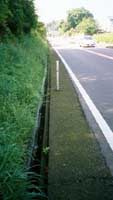 [Pic: Gutter]