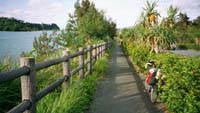 [Pic: Okinawan Sidewalk]