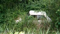 [Pic: Roadside Car]