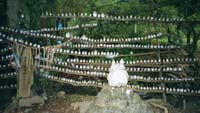 [Pic: Totoro Forest]