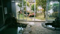[Pic: Beppu YH Sentou]