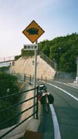 [Pic: Boar Crossing]