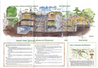 [Pic: Museum Catalog - Back]