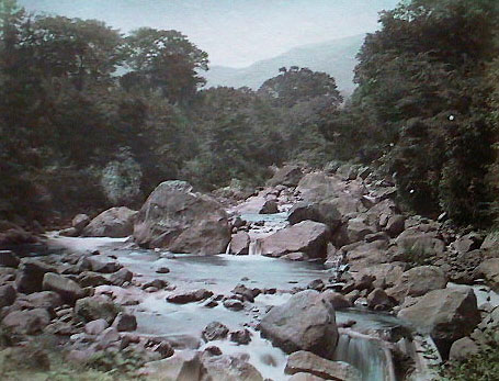 022.JPG, 63533 bytes, 19.05.91