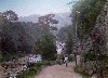 004.JPG
