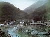 005.JPG