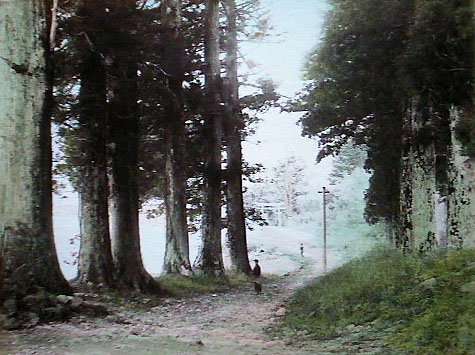 030.JPG, 70233 bytes, 19.05.91