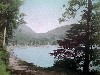 035.JPG