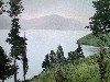 036.JPG
