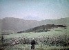 044.JPG