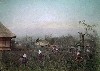 045.JPG