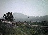 046.JPG