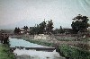 048.JPG