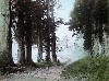030.JPG
