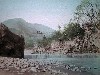 033.JPG