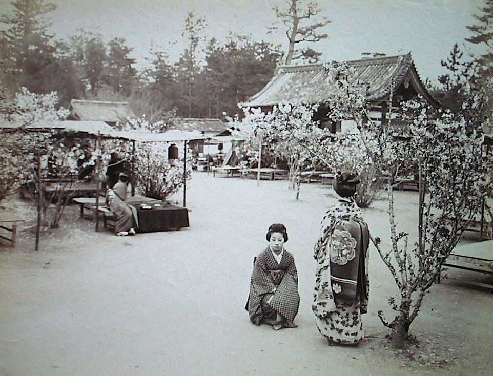 084.JPG, 116870 bytes, 19.05.91