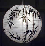 plbamboo.jpg (23013 bytes)