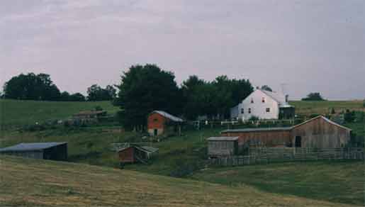 aoyama farm