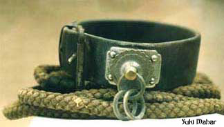 Traditional Collar (2)