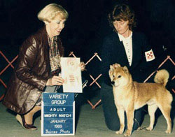 Kodomo Best in Show