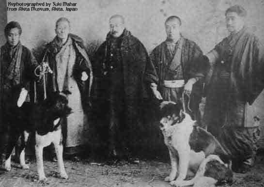 Emperor Taisho's akitas