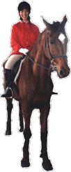 Girl Horse