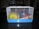 Hamster Cage