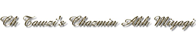 Ch Tawzi's Chazmin Ahhh Miyagi
