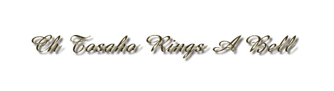 Ch Tosaho Rings A Bell ROM