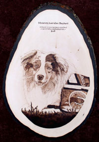 SOLD - 2008 NAMASCUSA Goodwill Ambassador Award - This lovely fellow is "Finnegan"; a therapy dog for 150+ students!