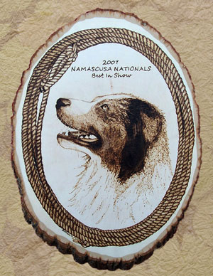 SOLD - Best In Show award for the 2007 NAMASCUSA Nationals!