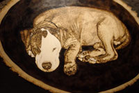 SOLD - Rocky as a puppy