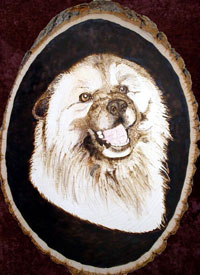 SOLD - DD (Double D) A darling Chow cross