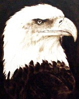 SOLD - American Pride