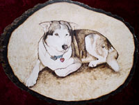 SOLD - General Hardtack...&nbsp; A lovely, one-eyed fellow!
